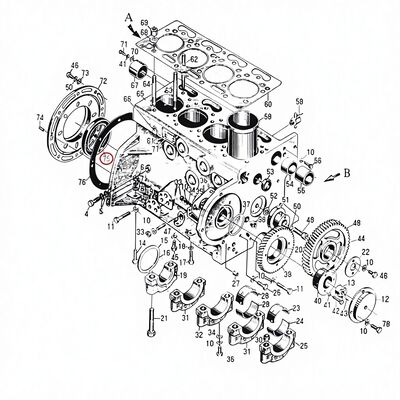 495AG Dieselmotor-Ersatzteilöl-Dichtung PG100*130*12 KN 1 kg